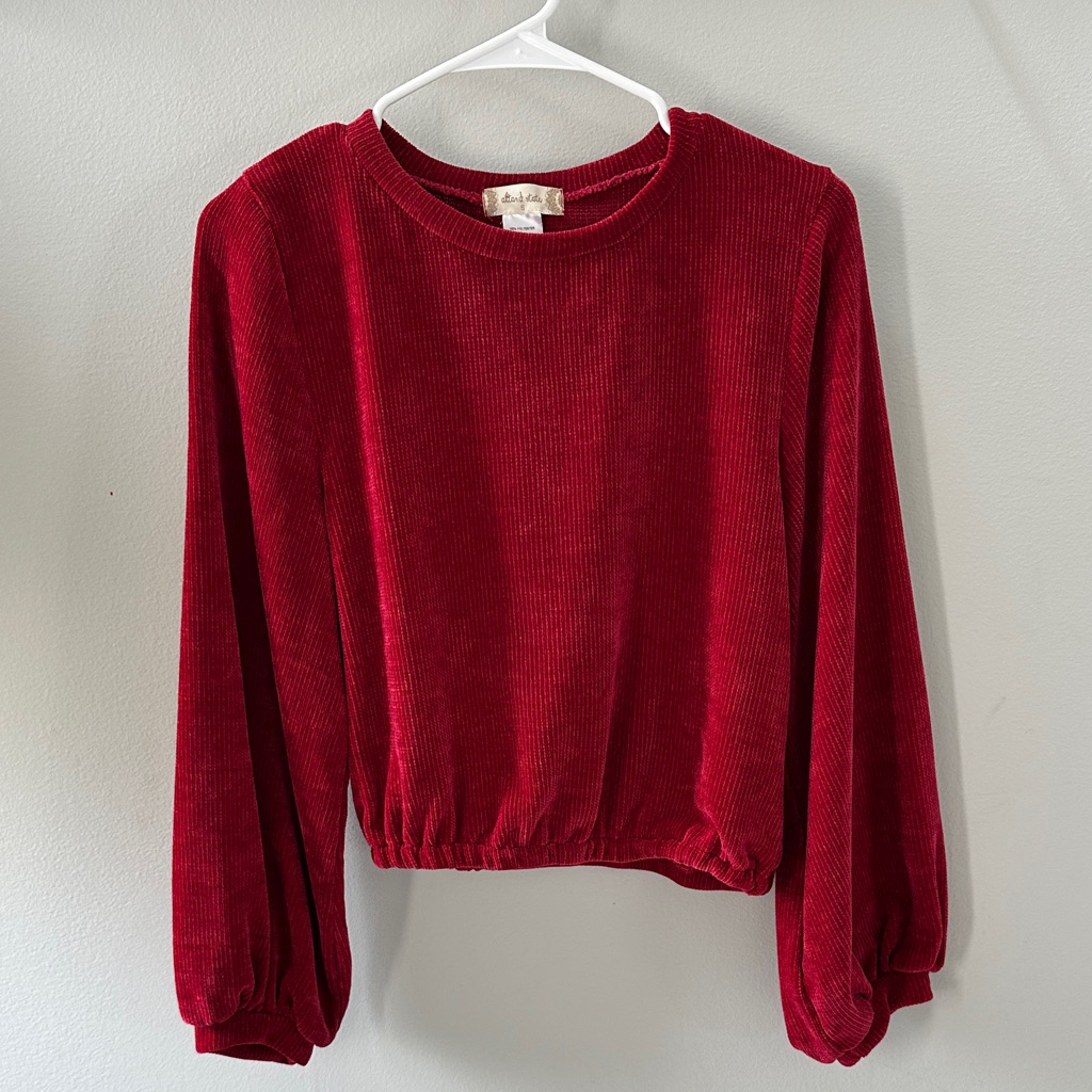Altar'd State Red Cropped Sweater, Women’s Small